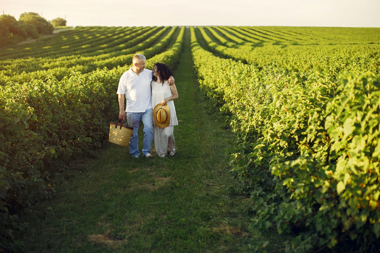 Pareja caminando entre las hileras del viñedo