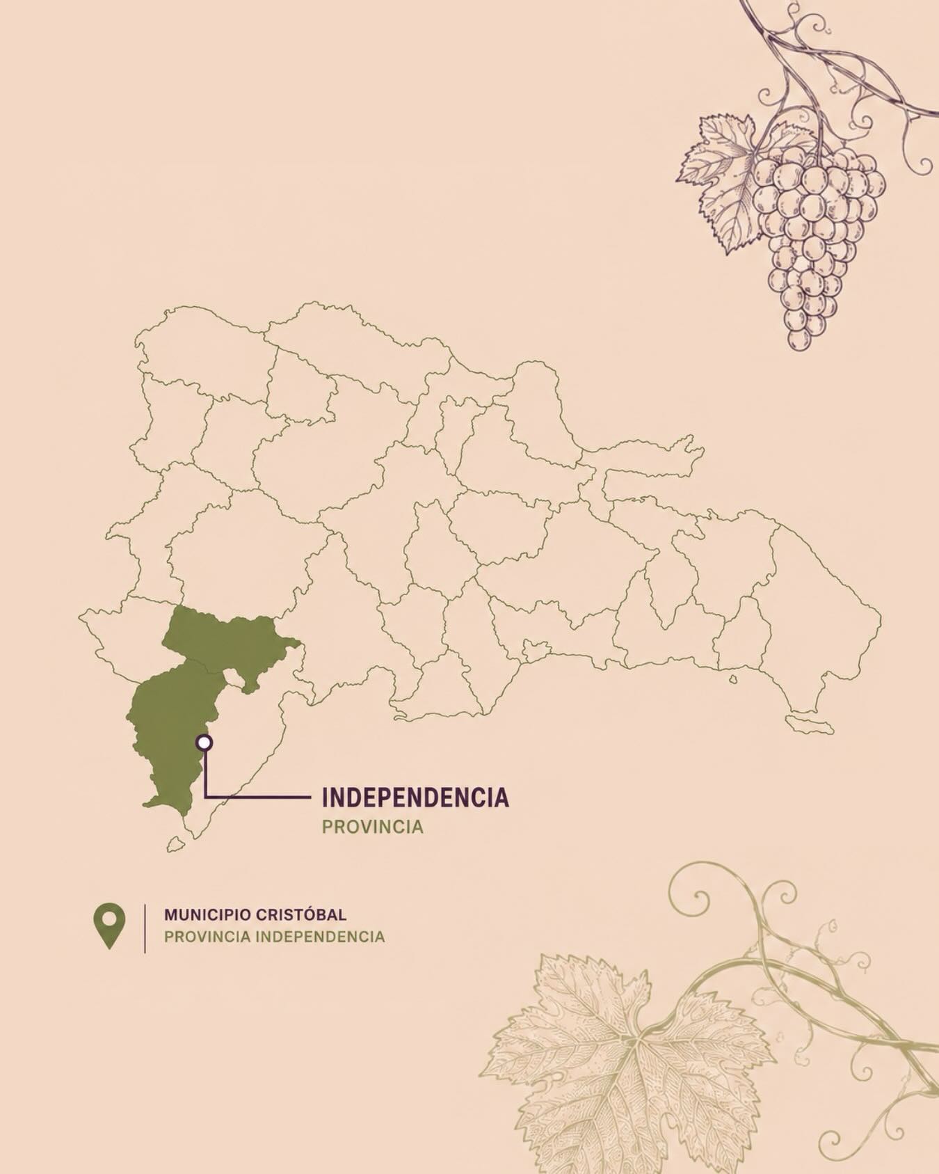 Publicación de Uvas del Sur en Instagram