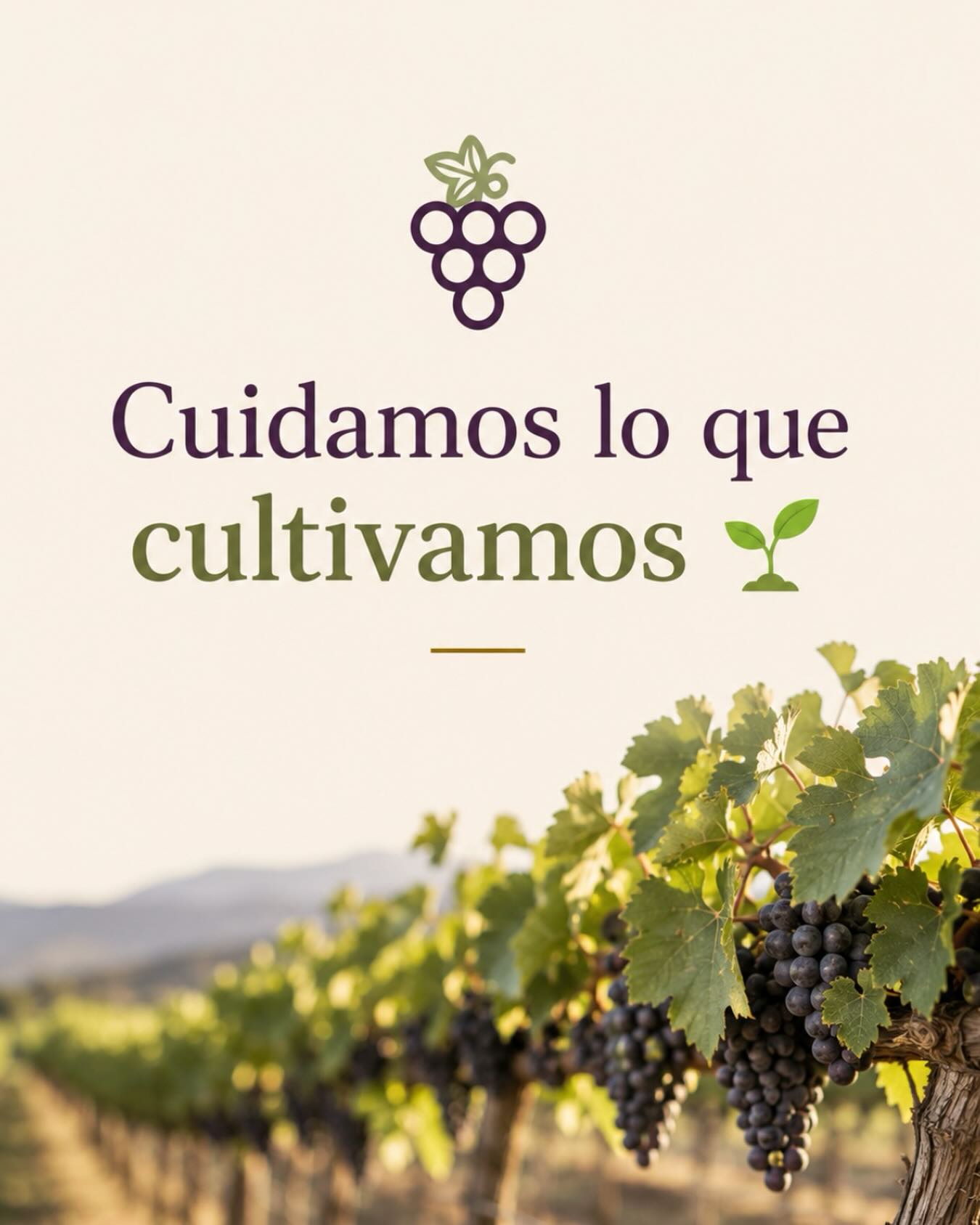 Publicación de Uvas del Sur en Instagram